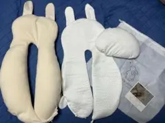 Item thumbnail for item e787a319-4751-4bd2-8a51-e2d52d7ce783