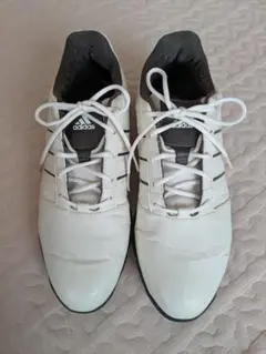 adidas ゴルフシューズ 24.5