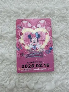 ディズニーリゾートライン フリーきっぷ 使用済み リゾラ 35周年
