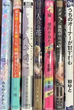 ボーイズラブ漫画　まとめ売り　2冊300円〜