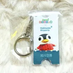 マイルりょこうけん風アクリルキーホルダー/オーロラ/あつまれどうぶつの森のサムネイル