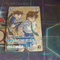 毛利蘭&江戸川コナンMR。
