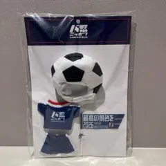 3COINS ぬい服 Mサイズ サッカー 日本代表ver スリコ　未使用のサムネイル