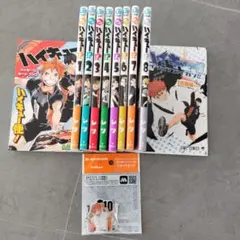 ハイキュー!! 全巻セット+小説 メッセージカードブック等 ハイキュー!! メッセージカードブック ハイキュー便！ - メルカリ