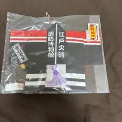 Item thumbnail for item 5e544744-fc99-4dde-9d39-45a94c77eef3