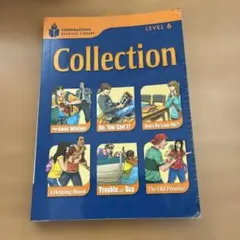 Foundations Reading Library /Level 6