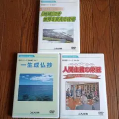 2026年最新】シナノ企画の人気アイテム - メルカリ