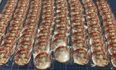 博麗霊夢 缶バッジ 81枚