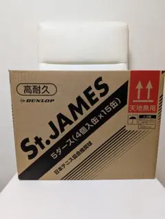 DUNLOP St.JAMES 硬式テニスボール100球⭐️球出し練習用に！