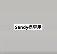 Sandy様　専用