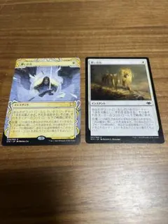 MTG 儚い存在 日本語版 foil2枚セット 夏休みfoil - メルカリ