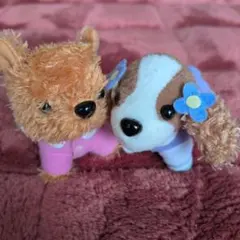 Item thumbnail for item 3545ed5e-3360-4811-8426-32a8f2d6b98f