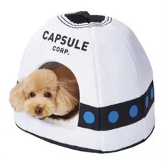 Item thumbnail for item 86548bf4-2eb2-4c77-83da-f3ab4b695dbd