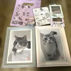 もちまるさまセット☆