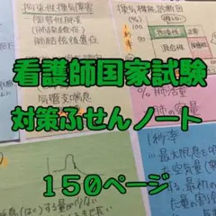 看護師国家試験 対策ふせんノート データ(USB付き)