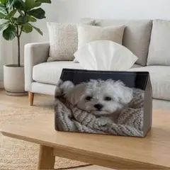 Item thumbnail for item 418adcc5-b5b5-495e-b6bb-3ca2e60d5fea