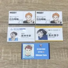 ハイキュー!!名刺カードコレクション 第1弾＜ハイキュー!! FAN PARK＞
