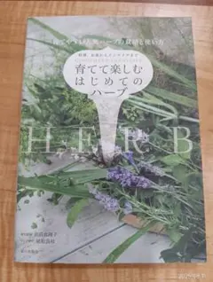 Item thumbnail for item c9abee86-dfb9-4cb2-80be-ebeffacec665