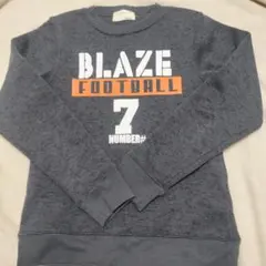 SHISKY グレー スウェットシャツ