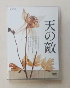 イキウメ　天の敵　DVD 2022年公演 前川知大