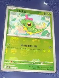 ポケモンカード▪︎マスターボール【キャタピー】(未使用品)