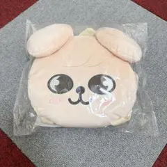 スキズ リュック スンミン