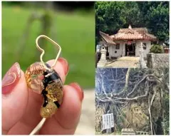 うさねこ16様 リクエスト 2点 まとめ商品