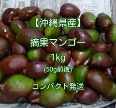 (即日発送) 摘果マンゴー　11kg 摘果マンゴー12kg 【公式通販】