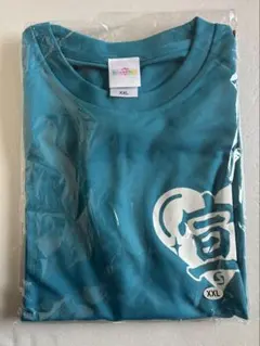 宣伝部員のための定番Tシャツ 第2弾 Lサイズ 辻野かなみ 超ときめき