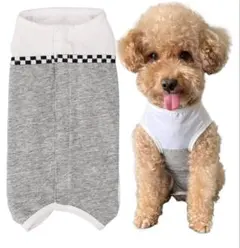 Item thumbnail for item 811ab21d-0ba2-486d-b5e9-78e9cfe1c31b