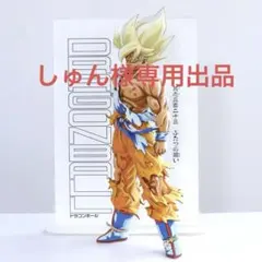 しゅん様の専用出品