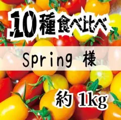 【ソムリエトマト】Spring様専用