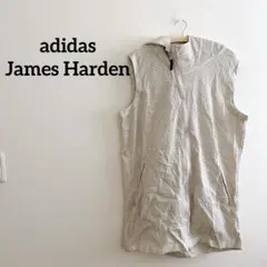 Item thumbnail for item 15a05fc3-3268-42ee-9f86-2916a216e3d1