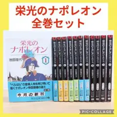 栄光のナポレオン　エロイカ　1〜12巻　全巻セット　池田理代子
