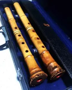 2025年最新】尺八 露秋の人気アイテム - メルカリ