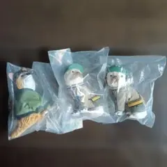 only wan 2種セット