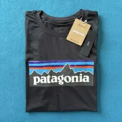 ☆値下げ！【タグ付 新品】「patagonia」パタゴニア　Tシャツ XXLのサムネイル