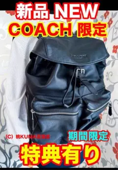 本革【新品】リュック〈特典有〉ショルダー バッグ NEW レザー