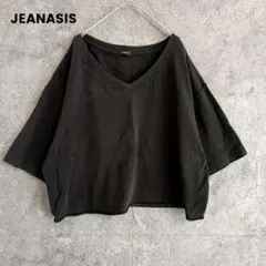JEANASIS　ジーナシス　半袖カットソー　Vネック クロップド丈　ゆるダボ