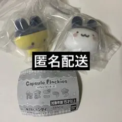 たまごっち カプセルフロッキーズ まめっち みみっち 2点セット