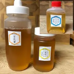 【非加熱はちみつ】百花蜜250g&セイタカ150g&からすたらのき50g(3本