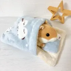 Item thumbnail for item 5137a528-e728-4e94-92ed-0821183ced2a