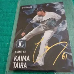 2025年最新】平良海馬 サインの人気アイテム - メルカリ