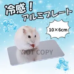 ☆ひんやりアルミプレート 冷感 ハムスター 冷却プレート ペット用 10×6cmのサムネイル