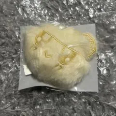 SEVENTEEN ボンボンイ ローカルキーリング 名古屋