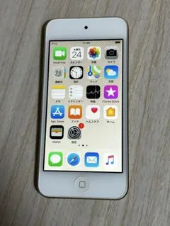 iPod touch 第6世代 32GB ゴールド MKHT2J/A 本体のサムネイル