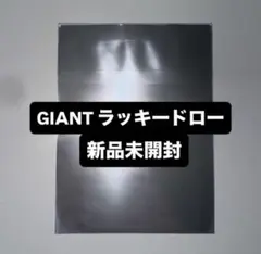 straykids GIANT タワレコ HMV ラキドロ トレカ 未開封 ×1