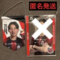 北海道コンサドーレ札幌　ミニペナント