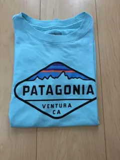 PATAGONIA パタゴニア　水色 Tシャツ