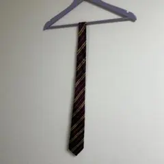 Item thumbnail for item e0cc5012-80ee-49e4-91b3-e40d25708083